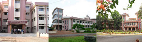 Cochin University of Science and Technology Results