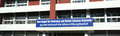 Guru Angad Dev Veterinary and Animal Sciences University Results